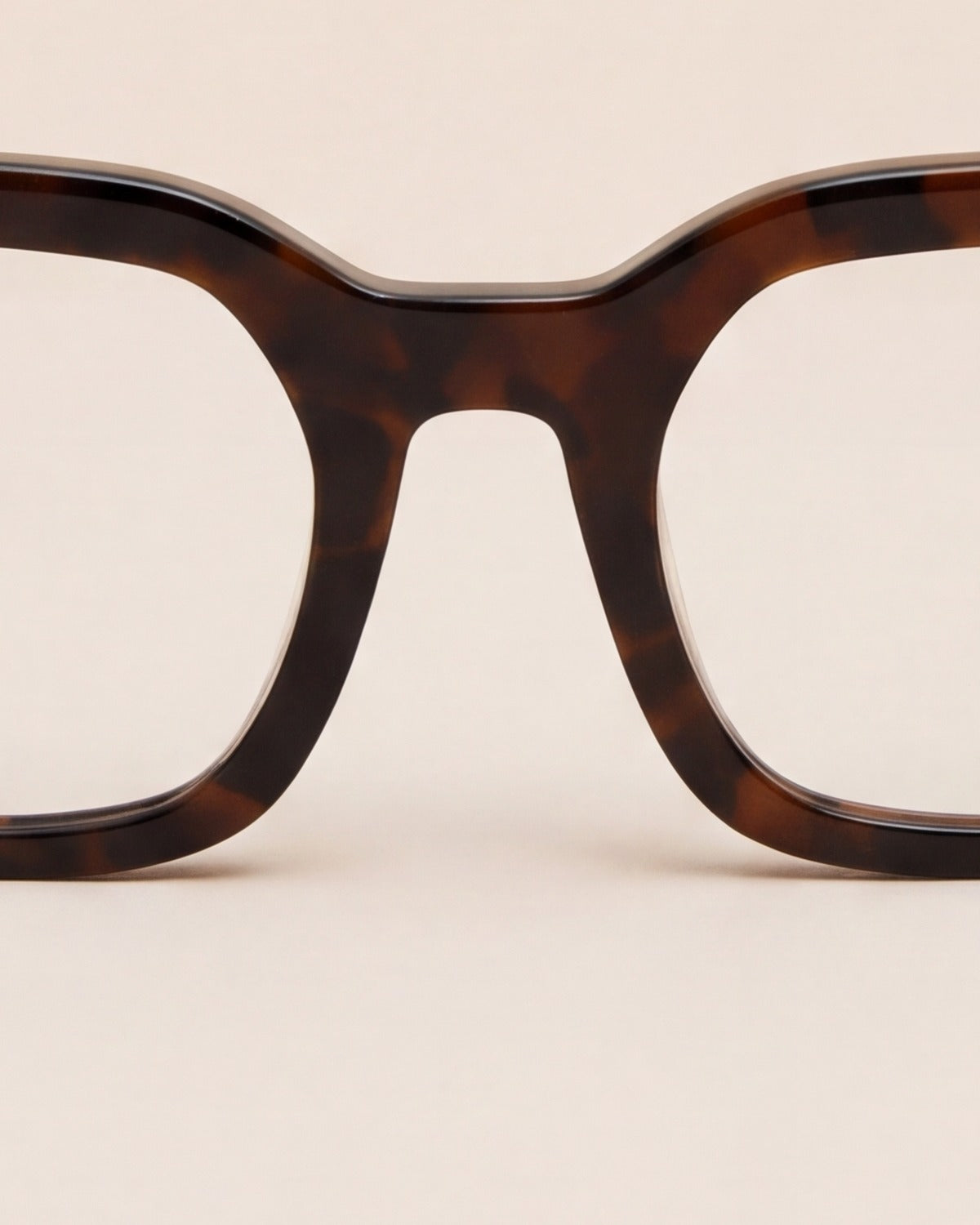 Kiara Turtle Brown Blue Light, detail