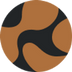 Light Brown Turtle