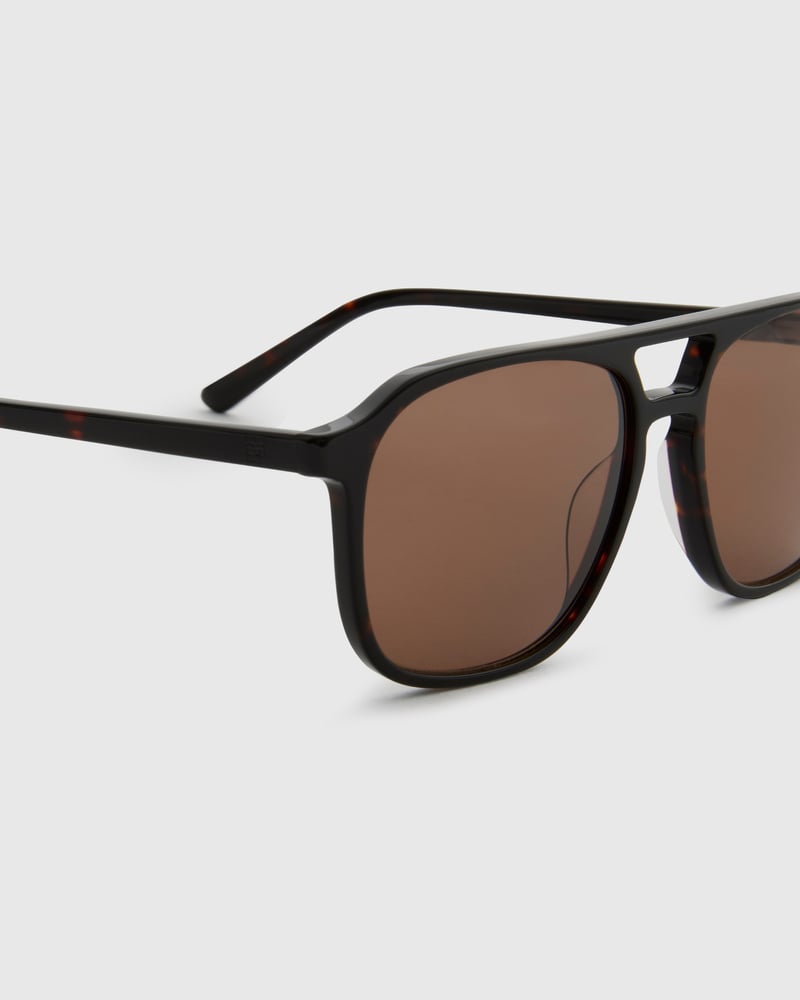 Robyn Turtle Brown Sunglasses