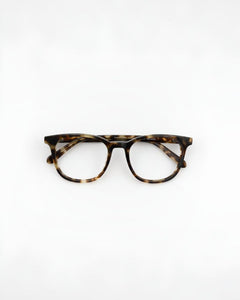 Zoey Amber Turtle Readers