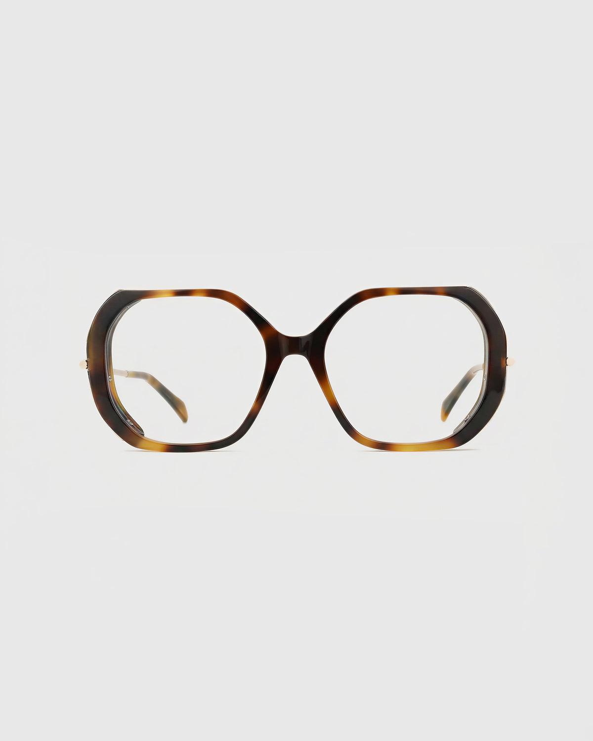 Celeste Turtle Brown Readers
